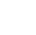 Section icon